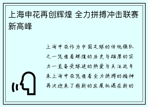 上海申花再创辉煌 全力拼搏冲击联赛新高峰