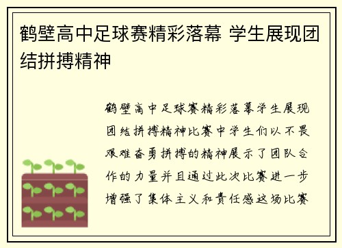 鹤壁高中足球赛精彩落幕 学生展现团结拼搏精神